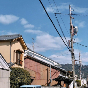 美女把屁股扒开把鸡鸡露出的视频
